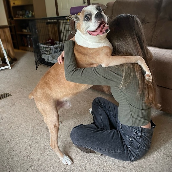 Apollo 🪽❤️‍🩹 - Picture 2 of 13